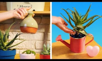 ¡Inspírate! Descubre Hacks e Ideas de Jardinería Asombrosos que No Te Puedes Perder! 🌱✨