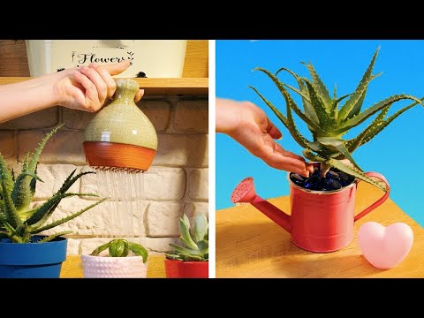 ¡Inspírate! Descubre Hacks e Ideas de Jardinería Asombrosos que No Te Puedes Perder! 🌱✨ ¡Inspírate! Descubre Hacks e Ideas de Jardinería Asombrosos que No Te Puedes Perder! 🌱✨