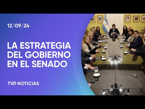 Intensa actividad en el Senado argentino Intensa actividad en el Senado argentino