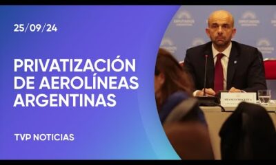 La privatización de Aerolíneas: no hubo dictamen