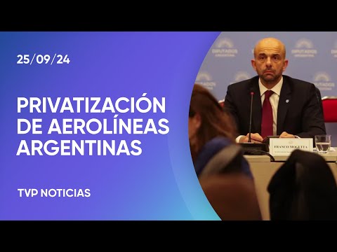 La privatización de Aerolíneas: no hubo dictamen La privatización de Aerolíneas: no hubo dictamen