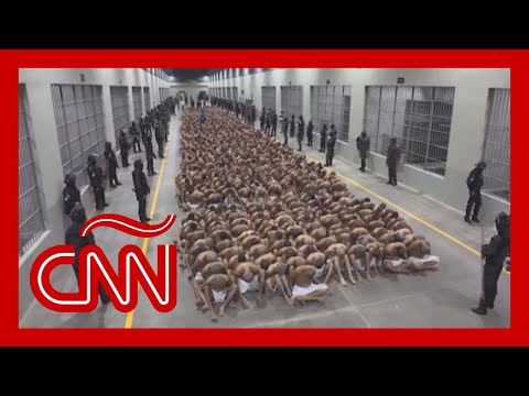 La transformación de la seguridad en El Salvador bajo el mando de Bukele La transformación de la seguridad en El Salvador bajo el mando de Bukele