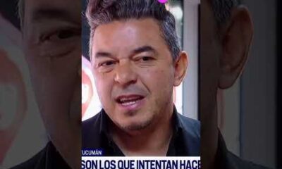 Marcelo Gallardo mano a mano con TNT Sports tras la victoria de River: “ME ENCANTAN LOS DESAFÃOS”