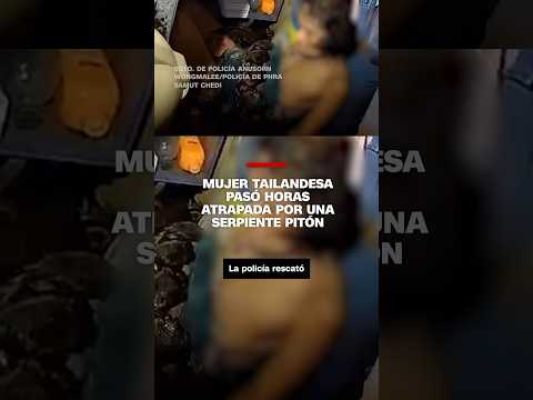 Mujer tailandesa pasó horas atrapada por una serpiente pitón