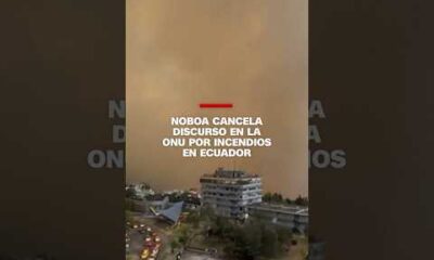 Noboa cancela discurso en la ONU por incendios en Ecuador