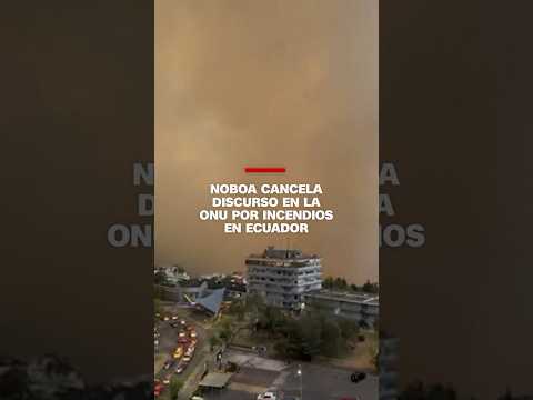 Noboa cancela discurso en la ONU por incendios en Ecuador Noboa cancela discurso en la ONU por incendios en Ecuador