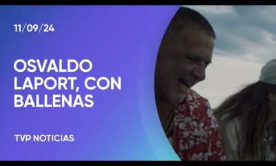 Osvaldo Laport protagoniza la película “El señor de las ballenas”