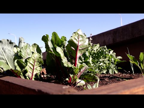 Ovidio Lucero, vecino de la ciudad