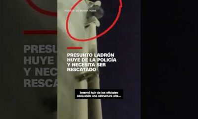 Presunto ladrón huye de la Policía y necesita ser rescatado