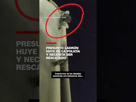 Presunto ladrón huye de la Policía y necesita ser rescatado
