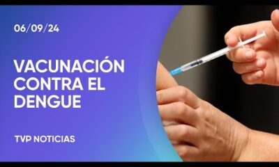 Prevención del dengue: repartirán vacunas contra el virus.