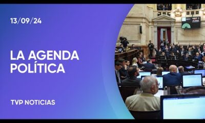 Qué votó el Senado, a horas de la presentación de Milei en el Congreso