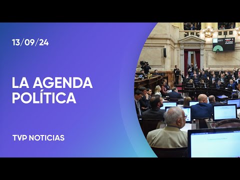 Qué votó el Senado, a horas de la presentación de Milei en el Congreso Qué votó el Senado, a horas de la presentación de Milei en el Congreso