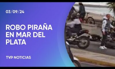 Robo piraña en plena Playa Grande de Mar del Plata