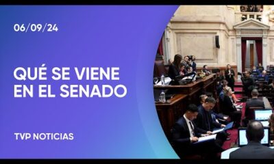 Senado: Unión por la Patria forzó sesión y no alcanzó quórum para el financiamiento universitario