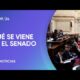 Senado: Unión por la Patria forzó sesión y no alcanzó quórum para el financiamiento universitario