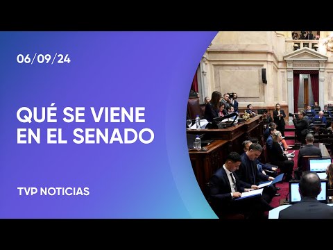 Senado: Unión por la Patria forzó sesión y no alcanzó quórum para el financiamiento universitario