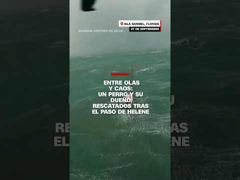 Un perro y su dueño fueron rescatados de un velero tras el paso de Helene Un perro y su dueño fueron rescatados de un velero tras el paso de Helene