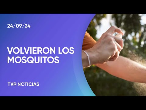 Volvieron los mosquitos: ¿cuánto cuesta el repelente? Volvieron los mosquitos: ¿cuánto cuesta el repelente?