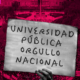 Crisis Universitaria: El Desafío Político del Gobierno Milei