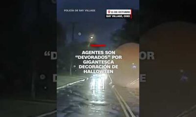 Agentes son “devorados” por gigantesca decoración de Halloween