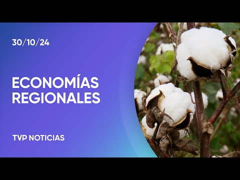 Crece la exportación de las economías regionales
