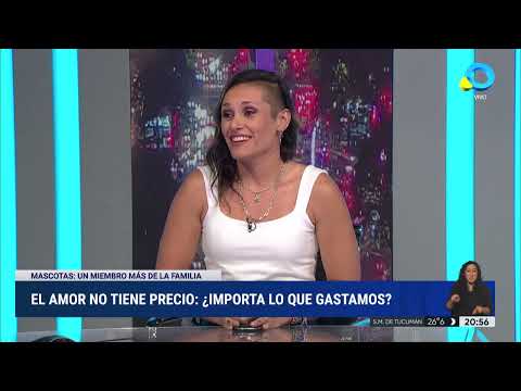 Cuánto cuesta mantener a una mascota Cuánto cuesta mantener a una mascota