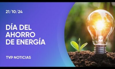 Día Mundial del Ahorro de Energía: por qué se celebra cada 21 de octubre