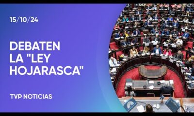 Diputados: la Ley Hojarasca ya se debate en comisiones