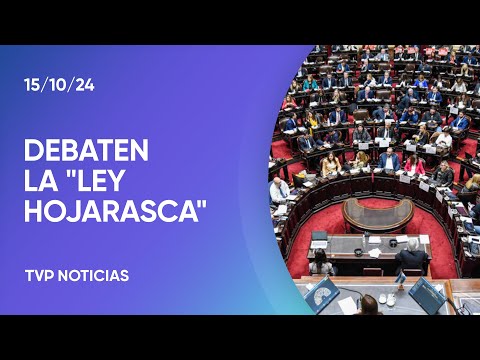 Diputados: la Ley Hojarasca ya se debate en comisiones Diputados: la Ley Hojarasca ya se debate en comisiones