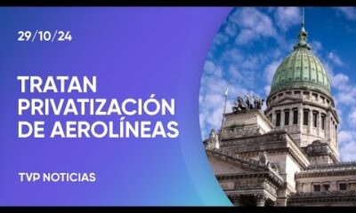 Diputados retoma el debate por la privatización de Aerolíneas