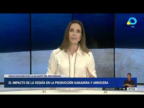 El impacto de la sequía en la producción ganadera y arrocera El impacto de la sequía en la producción ganadera y arrocera