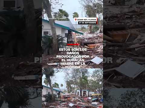 Estos son los daños provocados por el huracán #Helene en la Florida