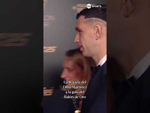 HOLA DIBU ð¦ð·ð¤©