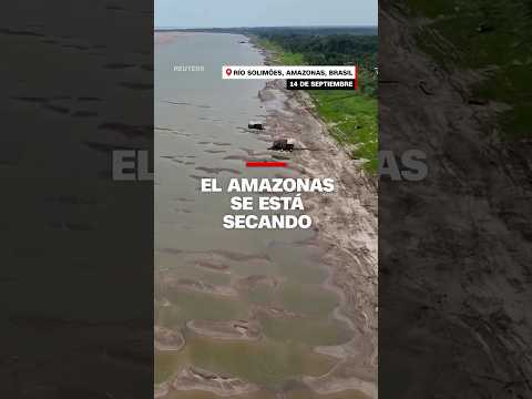 Imágenes satelitales muestran partes del #Amazonas secándose Imágenes satelitales muestran partes del #Amazonas secándose