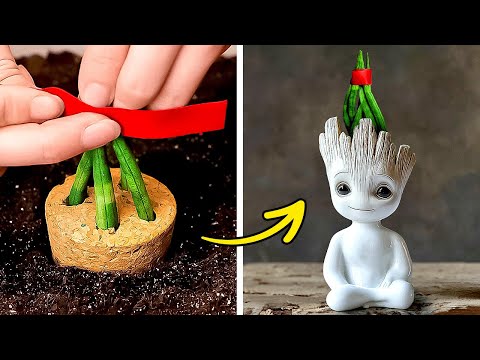 INCREÍBLES IDEAS PARA AMANTES DE LAS PLANTAS 🪴 CONSEJOS DE JARDINERÍA