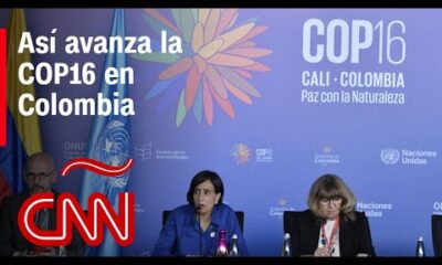 La COP16 se desarrolla con normalidad en Cali, según alcalde de la ciudad