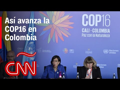 La COP16 se desarrolla con normalidad en Cali, según alcalde de la ciudad