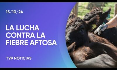 La importancia de la campaña de vacunación contra la fiebre aftosa