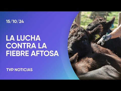 La importancia de la campaña de vacunación contra la fiebre aftosa La importancia de la campaña de vacunación contra la fiebre aftosa