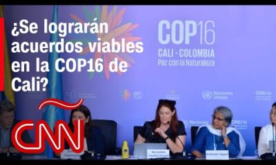 Las expectativas de la COP16 de Cali ante el calentamiento global