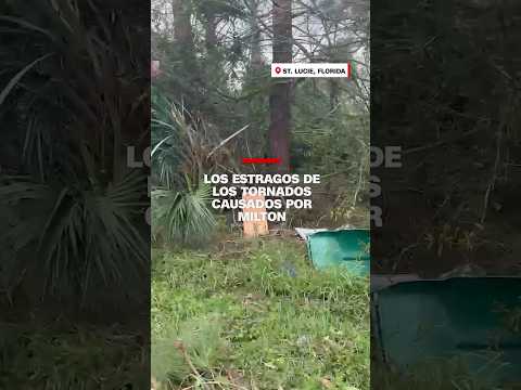 Los estragos de los tornados causados por el huracán #Milton Los estragos de los tornados causados por el huracán #Milton