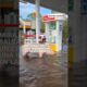 Mira cómo salvan a un cerdo en una inundación en la Florida