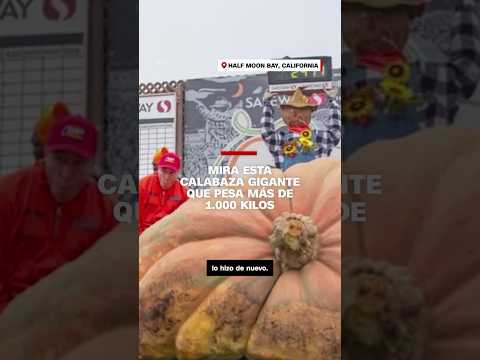 Mira esta calabaza gigante que pesa más de 1.000 kilos Mira esta calabaza gigante que pesa más de 1.000 kilos