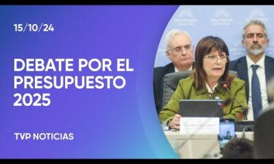 Patricia Bullrich en Diputados