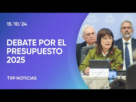Patricia Bullrich en Diputados