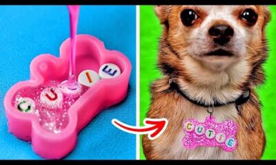 ¡Pawsome DIY Crafts: Ideas y trucos divertidos y fáciles para mimar a tus mascotas en casa!