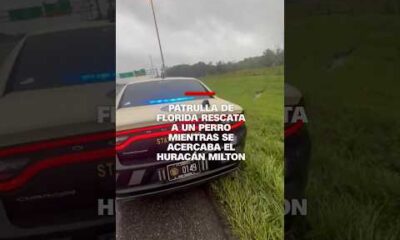 Policía de Florida salva a un perro cuando se acercaba el huracán Milton