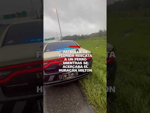 Policía de Florida salva a un perro cuando se acercaba el huracán Milton Policía de Florida salva a un perro cuando se acercaba el huracán Milton