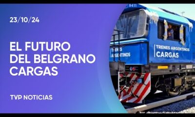 Qué es el Belgrano Cargas, la empresa que el Gobierno anunció que privatizará